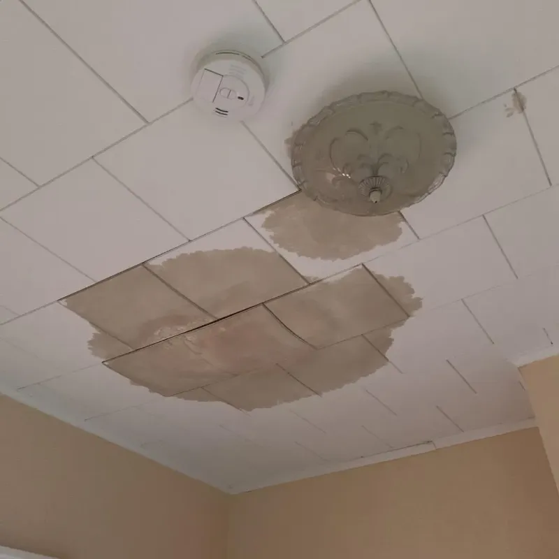 Ceiling Water Damage Repair in La Plata, MO