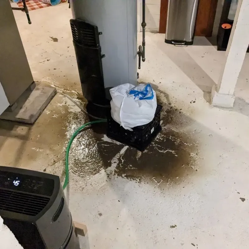 Sewage Backup Cleanup Service in La Plata, MO